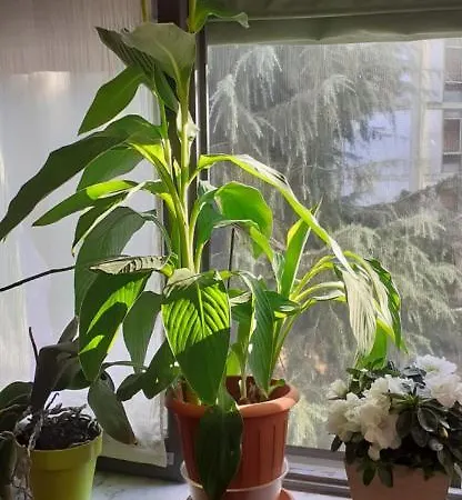 Quarto em Acomodações Particulares Vely's Novara